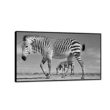 Imagem de Imagens de animais preto e branco para decoração de parede Hartmann imagem de zebra preta e branca impressão de imagem de cavalo em tela pintura de parede zebra decoração de parede para sala de estar