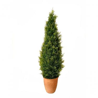 Imagem de Árvore De Natal Verde 55Cm - En922