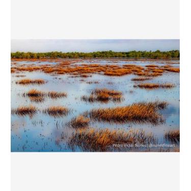 Imagem de Campos alagados em Bragança - Amazart, 40x60