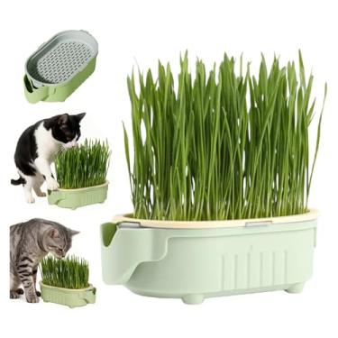 Imagem de QZAVIRE Kit de cultivo hidropônico de grama para gatos com bandeja de germinação, plantador de grama para gatos de fácil crescimento para jardinagem interna, vaso de plantio sem solo para controle de