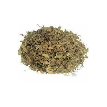 Imagem de Chá Java (Orthosiphon stamineus) 100g - Benefícios para a Saúde - no-b