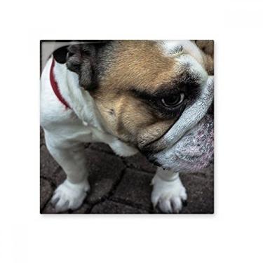 Imagem de Bulldog — Imagens de fotografia de animais de estimação com azulejo de cerâmica brilhante