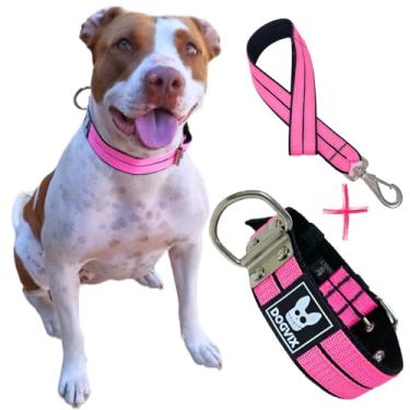 Imagem de Coleira Pet Com Guia Para Cachorro Dog Grande Porte Pitbull Golden (G)