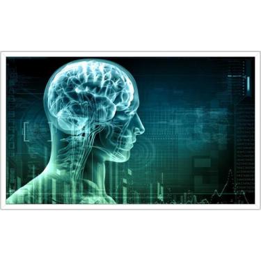 Imagem de Quadro Decorativo Medicina Cérebro Médicos Consultórios Decorações Sal