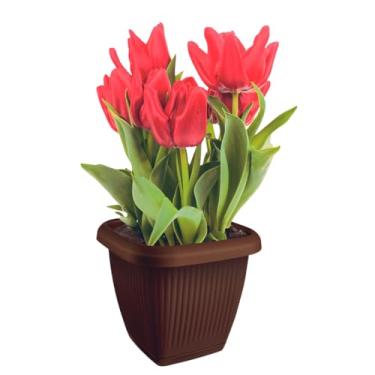 Imagem de Vaso Quadrado Para Plantas C/Prato 3,9L (Marrom)