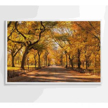 Imagem de Quadro Central Park Outono 60x40 Cm Adesivo Fotográfico