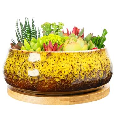 Imagem de ARTKETTY Vasos de suculentas - Vaso de 20 cm, vasos grandes de bonsai com bandeja de drenagem, vasos de cerâmica para plantas internas e externas, recipiente redondo raso para flores de cacto