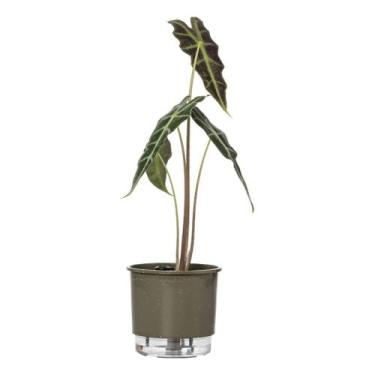 Imagem de Vaso Auto Irrigável Raiz N 03 Antidengue Planta Flor Folhagem, Basalto