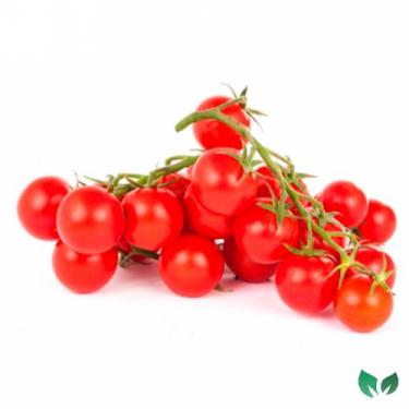 Imagem de Semente Hortaliça/Verdura/Especiaria monte seu kit personalizado - Alp