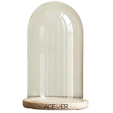 Imagem de Cloche Dome Bell Jar Glass Terrarium Display Cover Base de madeira (15 * 30 cm)