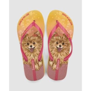 Imagem de Chinelo Ipanema Pets Pop-Feminino