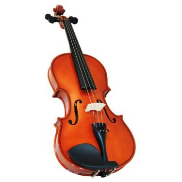 Imagem de Violino Deviser 4/4 NT Bright com Estojo térmico, Arco e Breu! Complet