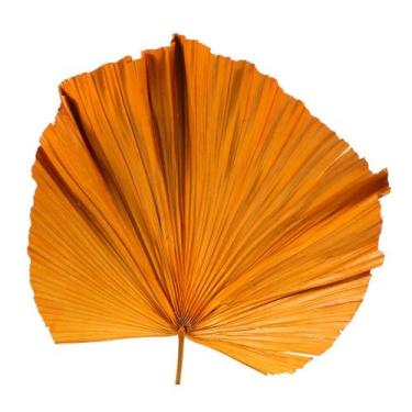 Imagem de Folha de Latania Laranja Desidratada - Tem Flores