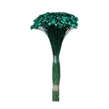 Imagem de Botão Margarida Verde Desidratado - Pense Flores