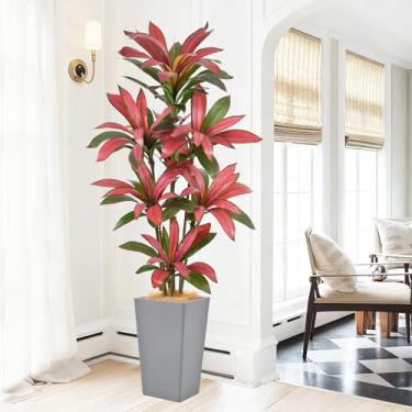Imagem de Árvore Dracaena artificial de 1,82 m – Árvore Dracaena sintética de 182,88 cm com plantador cinza, tronco realista e folhagens vermelhas realistas, planta tropical alta em vaso para casa, escritório