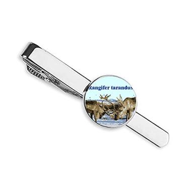 Imagem de Canis Lupus Arctos Gravata Branca, Presente, Homem Negócio