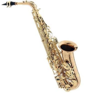 Imagem de Saxofone Alto Profissional Eagle Sax510 Em Bronze Com Estojo