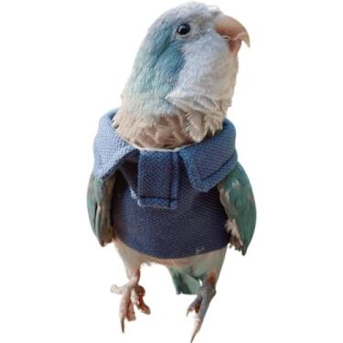 Imagem de CXYYXF Fantasia de pássaro fralda de pássaro terno de voo azul top roupas de pássaro cosplay foto adereço para papagaios periquito periquito calopsita animais pequenos vestuário (com fralda, PP)