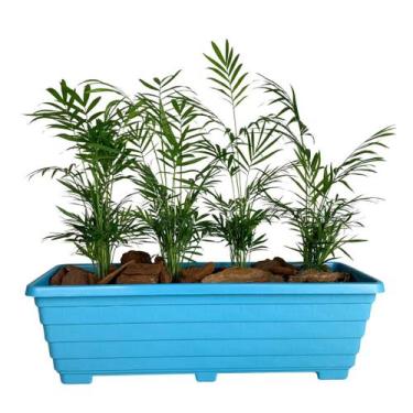 Imagem de Jardineira Floreira 50cm De Plástico Para Plantas E Flores - Goyama, A