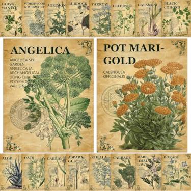 Imagem de 18 peças, pôsteres vintage de fitoterápicos, guia holístico de ervas medicinais e usos, pôsteres de ervas botânicas, tabelas de conhecimento de plantas para cozinha doméstica, herbário, referência