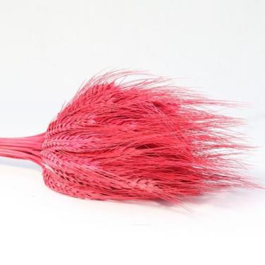 Imagem de Buque de Flores Secas Trigo Variado - Pense Flores, Vermelho