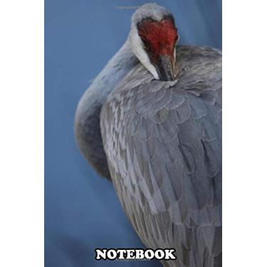 Imagem de Notebook: Sand Hill Crane Resting In Water , Journal for Writing, College Ruled Size 6" x 9", 110 Pages