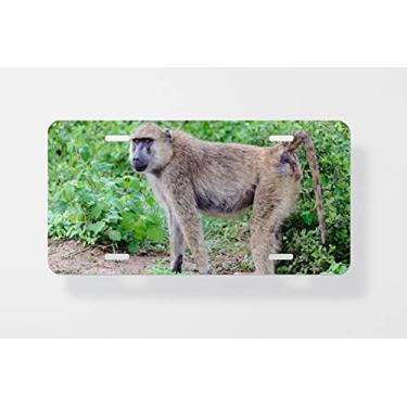 Imagem de Baboon Capa para placa de carro – Capa para placa de carro – Capa para placa de carro 15 x 30 cm