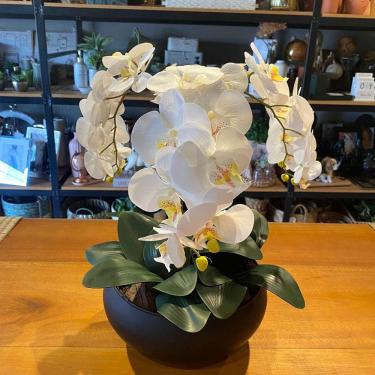 Imagem de Arranjo Grande Centro de Mesa 3 Orquídeas Branca 3d Vaso Preto