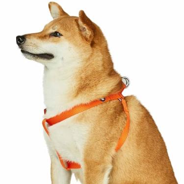 Imagem de Blueberry Pet Essentials 2022 Peitoral para cães de nylon sólido durável e durável, circunferência do peito 66 cm - 99 cm, vermelhão laranja, grande, peitoral ajustável para filhotes, meninos e meninas