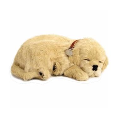 Imagem de Filhote de Cachorro Retriever, Perfect Petzzz