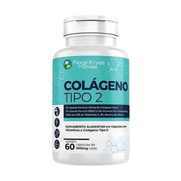 Imagem de  Suplemento Alimentar Colágeno Tipo 2 UC II 40mg Concentrado 60 Caps +