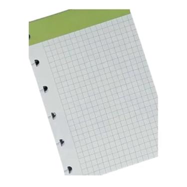 Imagem de Fichas Quadriculada Vertical Colorida Caderno Discos