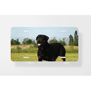 Imagem de Rottweiler 3 Capa para placa de carro – Capa para placa de carro – Capa para moldura da placa de carro 15 x 30 cm