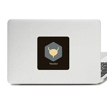 Imagem de Adesivo de vinil para órgãos internos do corpo, adesivo para laptop, decoração de policarbonato