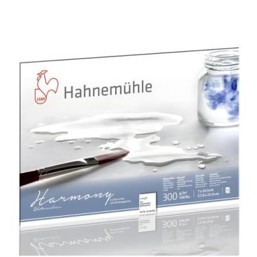 Imagem de Bloco Aquarela Hahnemühle Harmony 300gr 17,8x25,4cm Textura Rugosa 12 
