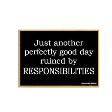 Imagem de Honey Dew Gifts, Apenas mais um dia perfeitamente bom arruinado por responsabilidades, ímãs de geladeira, decorações de armários, ímãs de geladeira, presentes para adultos, 6,3 cm por 8,9 cm, 754846