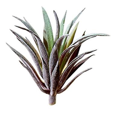 Imagem de Suculentas Artificiais JUSTDOLIFE Mini Suculentas Artificiais Suculentas para Decoração de Casas