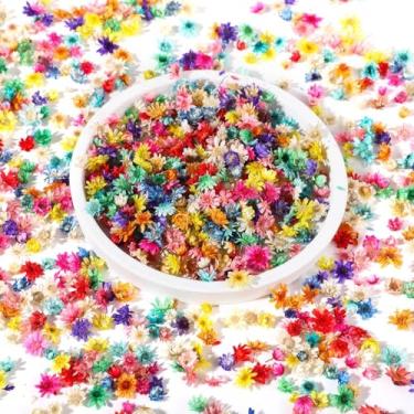 Imagem de 1420 peças pequenas flores secas de resina, mini flores prensadas naturais para artesanato, joias, arte de unhas, moldes epóxi, decorações de velas, fornecimento a granel