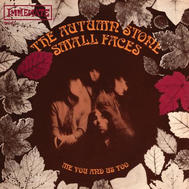 Imagem de The Autumn Stone (Autumn Gold 7" Vinyl Single) [Disco de Vinil]
