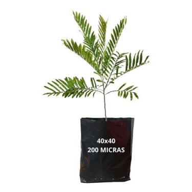 Imagem de Saco Saquinho Para Mudas Plástico Preto 40x40cm 50 Unidades - Sem Marc