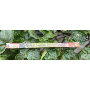 Imagem de Incenso Massala Flute - Tenda da Luz, Citronela