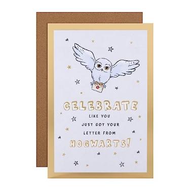 Imagem de Hallmark Cartão de aniversário - design de coruja e letra de Harry Potter Hedwig