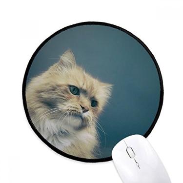 Imagem de DIYthinker Animal gato azul fotografia tirar mouse pad desktop escritório tapete redondo para computador