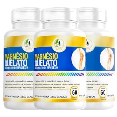 Imagem de KIT C/3 Un. Suplemento Magnésio Quelato 60 cápsulas - Fits Life
