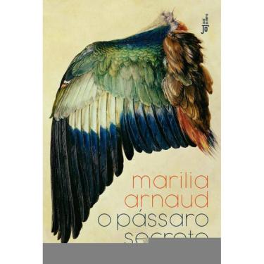 Imagem de O Pássaro Secreto