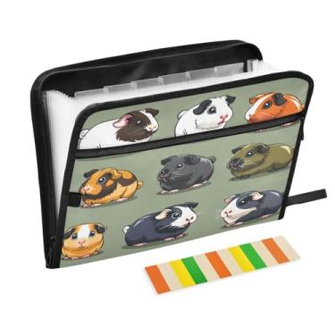 Imagem de CEBUGI Pasta expansível com 13 bolsos, organizador de arquivos sanfonado à prova d'água com etiquetas tamanho A4, organizador de documentos de papel para escola, material de escritório