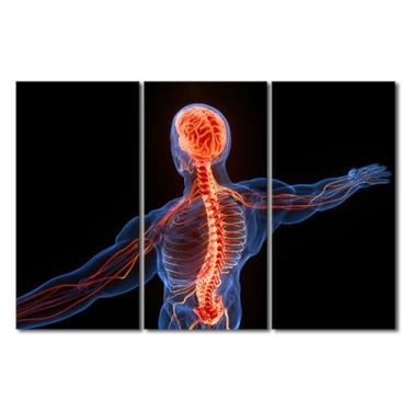 Imagem de TUMOVO Brain X-Ray Decoração de parede para quarto sala de estar coluna humana raio-X pinturas de arte de parede ilustrações humanas em tela escritório arte de parede emoldurada pronta para pendurar