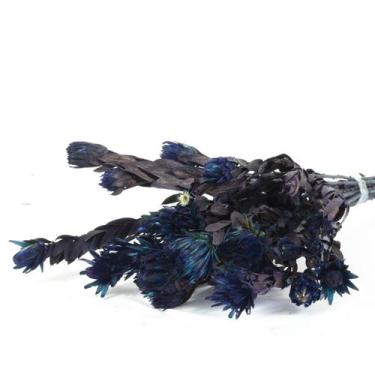 Imagem de Arapurama Desidratado Buque Flores Secas - Pense Flores, Azul