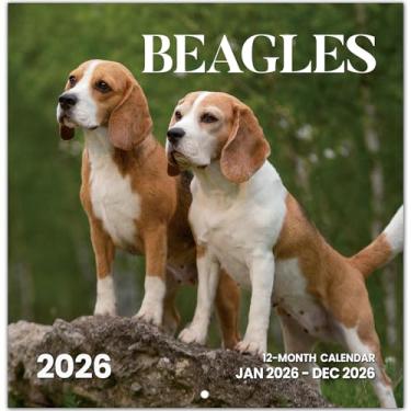Imagem de Calendário Z13 Beagles 2026