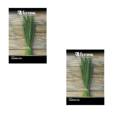 Imagem de 2X Sementes de Cebolinha Verde Fina FELTRIN